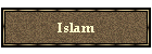 Brgerbund gegen Islam